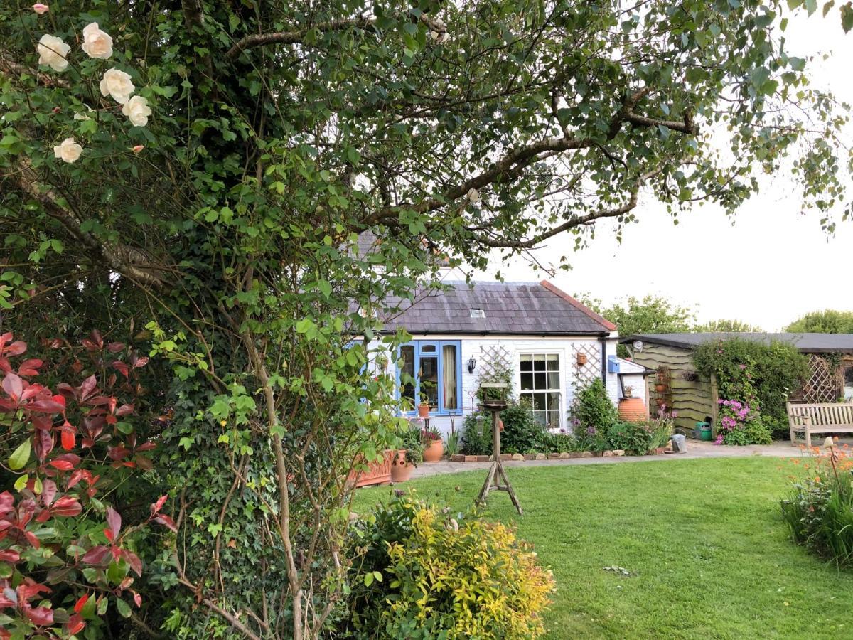 Cosy Cottage Ground Floor Bedroom Ensuite With Private Entrance Τσίτσεστερ Εξωτερικό φωτογραφία